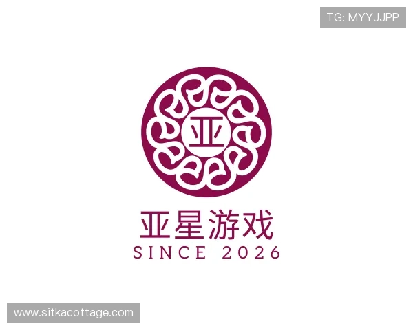 关于亚星游戏